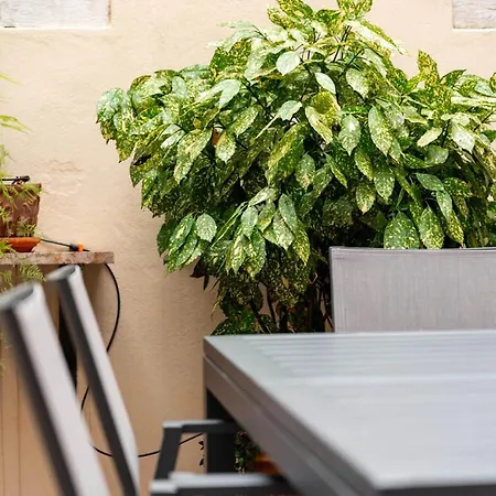 Ca' Longo Palace Damasco ונציה