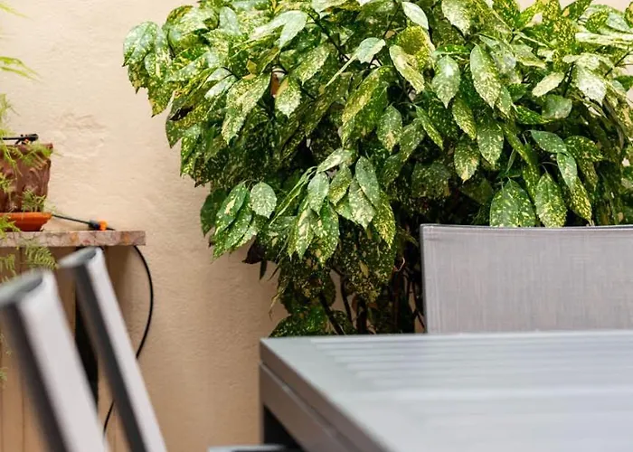 Ca' Longo Palace Damasco 威尼斯