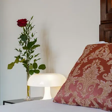 Ca' Longo Palace Damasco 公寓 威尼斯